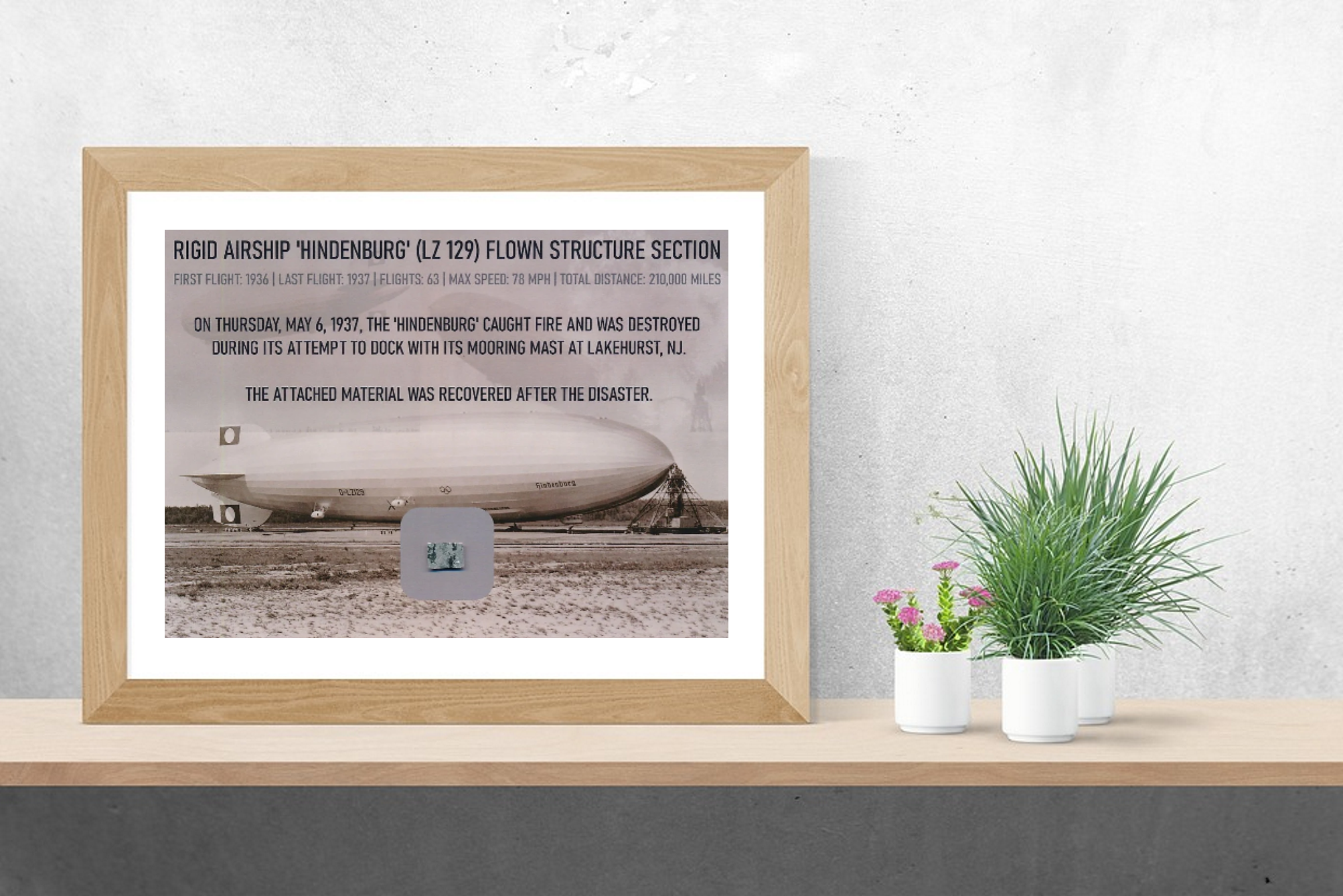 your-online-store-for-hindenburg-zeppelin-disaster-flown-structure-segment-online-sale_1.png