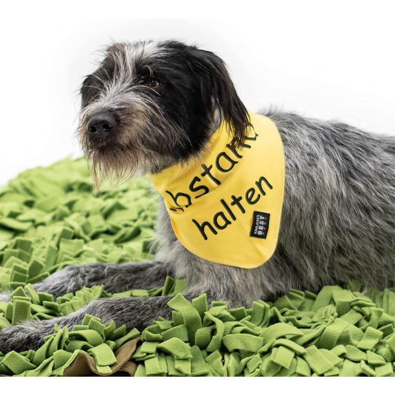 buy-halstuch-abstand-halten-online-now_0.webp