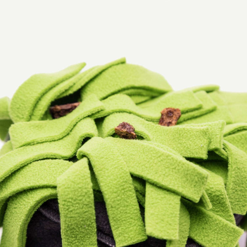 make-your-order-official-of-schnuffelteppich-sniffroll-online-now_11.jpg