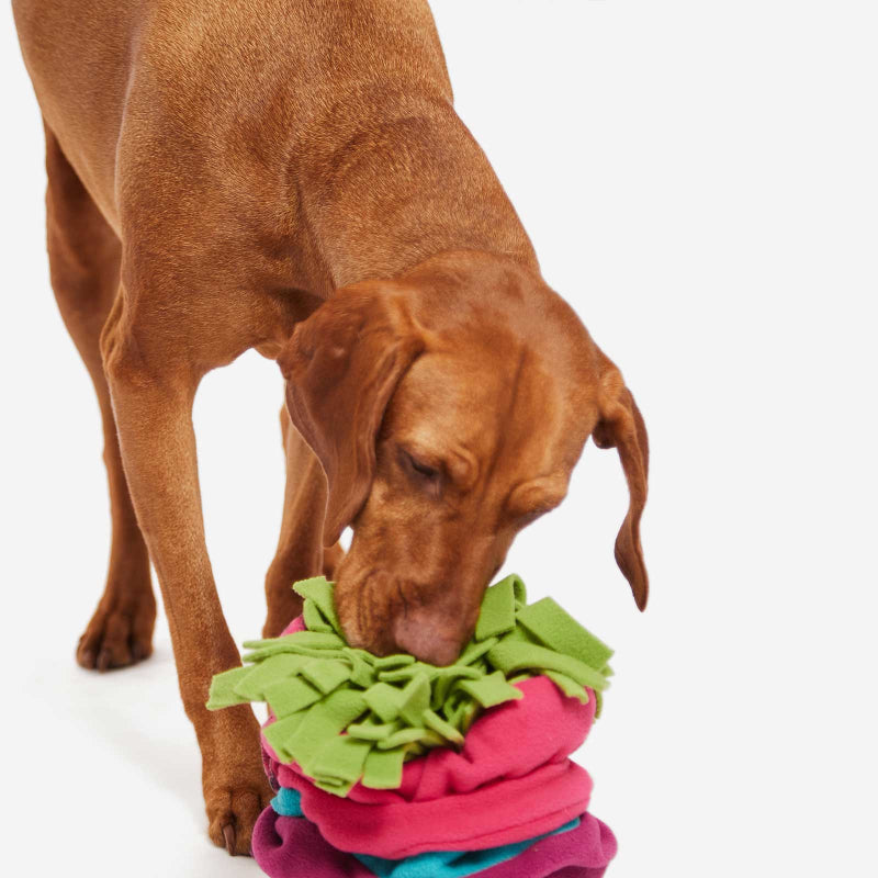 make-your-order-official-of-schnuffelteppich-sniffroll-online-now_26.jpg
